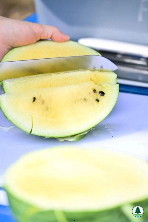 吃瓜香港网红,揭秘娱乐圈幕后真相