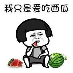 有个免费吃瓜网叫什么来着,揭秘“瓜界”新宠儿的神秘面纱