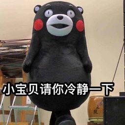 网红熊公仔吃瓜图片表情包,萌态十足引网友热议