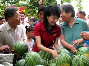 瓜农今日吃瓜网,揭秘瓜农生活，共享田园乐趣