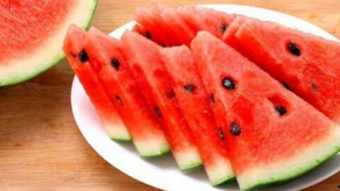 内蒙古网红吃瓜视频,揭秘草原上的“瓜界风云”