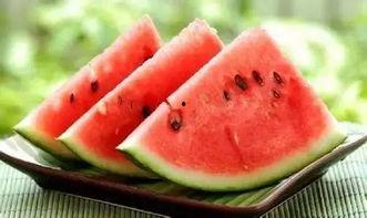 网红椅子吃瓜学校,揭秘校园生活新现象